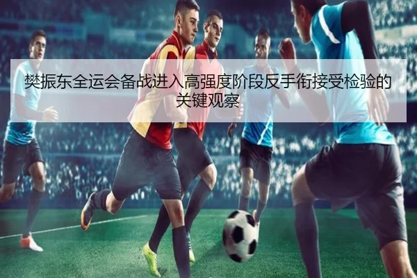 樊振东全运会备战进入高强度阶段反手衔接受检验的关键观察
